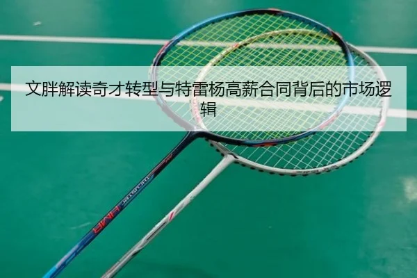 文胖解读奇才转型与特雷杨高薪合同背后的市场逻辑（ODSPORTS）